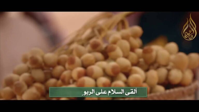 مملكة المحبة – جيهان مراد