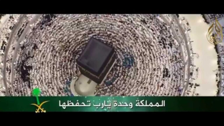 موطني الغالي – منير الحسني