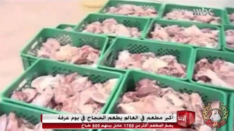 تقرير mbc عن اكبر مطبخ في العالم 